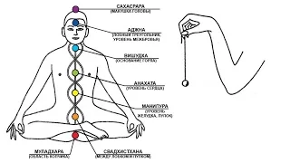 Здоровье. Диагностика и восстановление чакр маятником