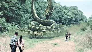 The man is tightly entangled by a big snake in order to retrieve the treasure!