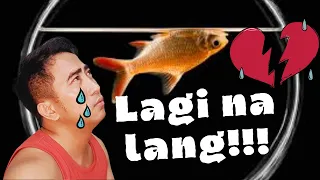 10 Sanhi ng Pagkamatay ng Isda sa Aquarium + Contest