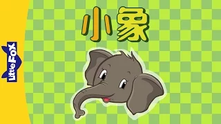 The Baby Elephant (小象) | Single Story | Animals | Chinese | By Little Fox