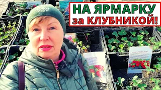 Весенняя ЯРМАРКА садовода. Что продавали , по какой цене  и что купила?