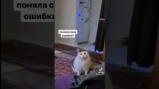 Когда пришла после психолога