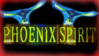 Citadel Phönix Spirit / Krypter bezwingen - Deutsch PS4