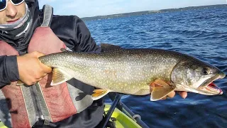 BIG TROUT EAT RUBBERS!! (Returned To Cayuga Lake NY)