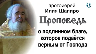 Проповедь о подлинном благе, которое подаётся верным от Господа (2020.11.11). Протоиерей Илия Шапиро