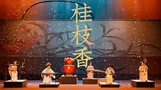 【自得琴社Live】新曲《桂枝香》唯余故国晚秋Guizhixiang: Beautiful and sad tunes performed by Chinese instruments