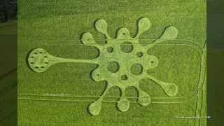 New Crop Circle Potterne Field, nr. Devizes, Wiltshire. Reported 28th May 2020