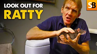 How do rats get in your toilet?