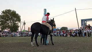 Monta Especial El Campeón Correntino Fiesta del Ternero Sauceño 2.022