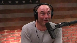 Joe Rogan and Adam Greentree   Talking About Wild Pigs