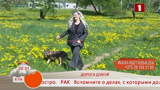 Добрай раніцы, Беларусь! Дорога Домой. Мышка