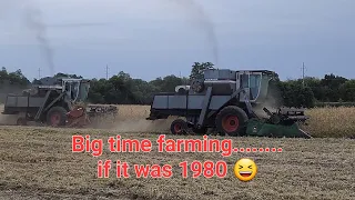 2023 Organic soybean harvest.