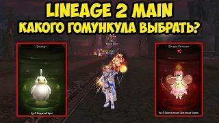 Качаю первого красного гомункула и сравниваю с Ари в Lineage 2 Main.