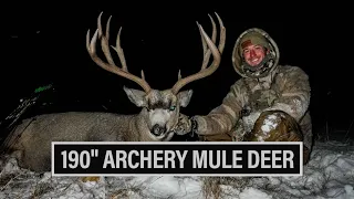 ARCHERY HUNTING MULE DEER BUCKS | MATT DAVIS🎙️ EP. 819