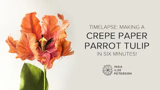 Making a Crepe Paper Parrot Tulip in Six Minutes: Timelapse Showing My Entire Process!