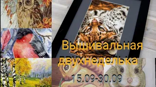 Вышивка. Текущие процессы/старты продолжаются/финишная прямая впереди!