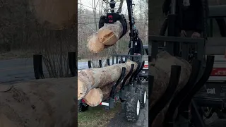 CaMex CX9t+ Log Loader Forestry Trailer