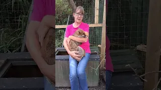 Me with Luther at Second Chance Fox Rescue. 🥰 Full video at 8pm