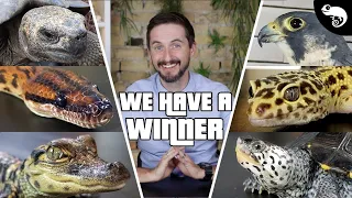 The Best Pet Reptile REVEALED!