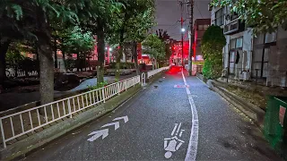 Tokyo Omorihoncho Evening Walk, Japan • 4K HDR