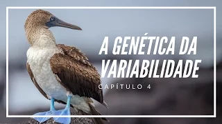 A Genética da variabilidade | Filosofia das Origens #4