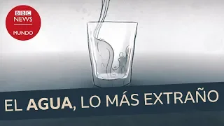 Por qué el agua es una de las cosas más raras del Universo