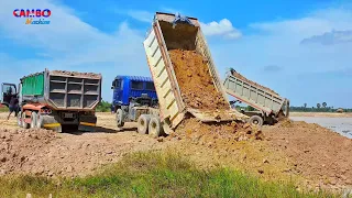 Great Action! Land filling up process with Dump truck & Bulldozer Push moving soil into water