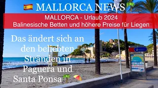 Paguera🌴🏖️MALLORCA island NEWS Was ändert sich?🇪🇸Mallorca Urlaub 2024  #mallorca #travel #video
