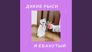 Я ебанутый