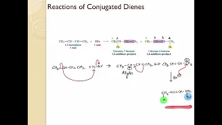 Electrophilic addition in isolated and conjugated dienes