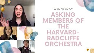 Asking Members of the Harvard-Radcliffe Orchestra: Wednesday