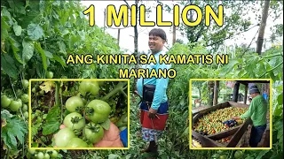 1 MILYON KINITA SA KAMATIS NI MARIANO