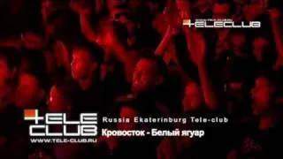 Кровосток - Белый Ягуар LIVE @ Tele-club