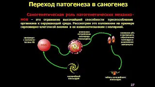 Чистка организма в методе Бутейко. Саногенез совершенный детокс