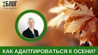 Родник здоровья | Как адаптироваться к осени?