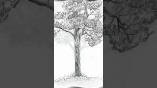 Идеи как нарисовать Дерево 🌳