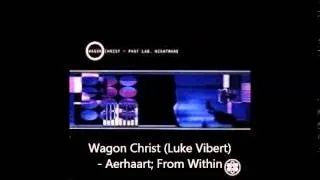 Wagon Christ (Luke Vibert) - Aerhaart; From Within