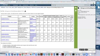 Metagenomic Read Mapping Service - Looking for AMR or virulence genes in metagenomic data