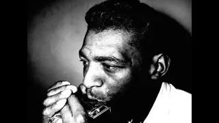 Little Walter - Last Night I Lost The Best Friend