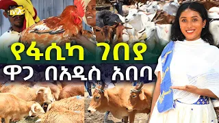 ዶሮ በግ በሬ ስንት ገቡ? ፋሲካ ገበያ ዋጋ በአዲስ አበባ 2016 Fasika Holiday Market Addis Ababa | Ethiopia @NurobeSheger