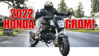 2022 HONDA GROM First Ride, Top Speed, First Impressions