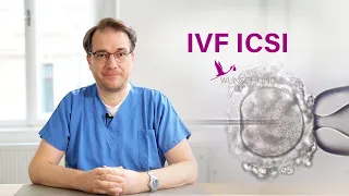 🧪 Wie unterscheiden sich IVF und ICSI? - Wunschkind Klinik Dr. Brunbauer