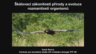 David Storch: Škálovací zákonitosti přírody a evoluce rozmanitosti organismů (MFF-FPF 23.11.2023)