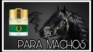 🚨Meydan By Spirit of Dubai Un Perfume para MACHOS ALFAS Reseña en Español 💣🔥🚀💯