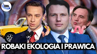 Konfederacja Zaczyna Wojnę na Prawicy (+Robale xd)