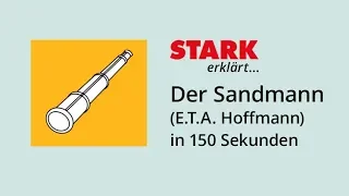 "Der Sandmann" (E.T.A. Hoffmann) in 150 Sekunden | STARK erklärt