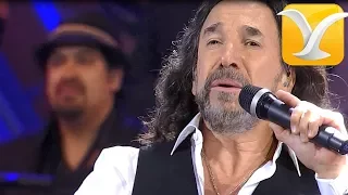 Marco Antonio Solis - Mi eterno amor secreto - Festival de Viña del Mar 2016 HD