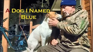 A Dog I Named Blue. (Throwback Thursday)