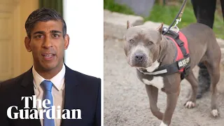 Rishi Sunak: 'Dangerous' American XL bully dog will be banned