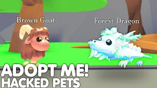 👀*NEW* PETS CREATED BY HACKERS! ADOPT ME GOT HACKED...😱🔥(HUGE HACKER) ROBLOX